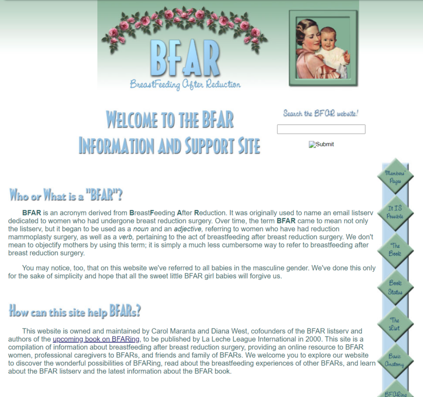 First BFAR website (1998)